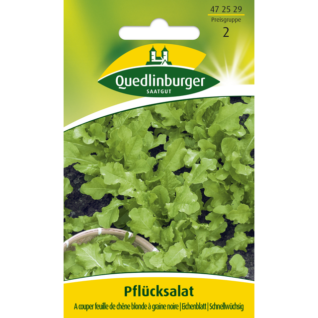 Quedlinburger Salat 'A couper feuille de chene blonde a graine noire'