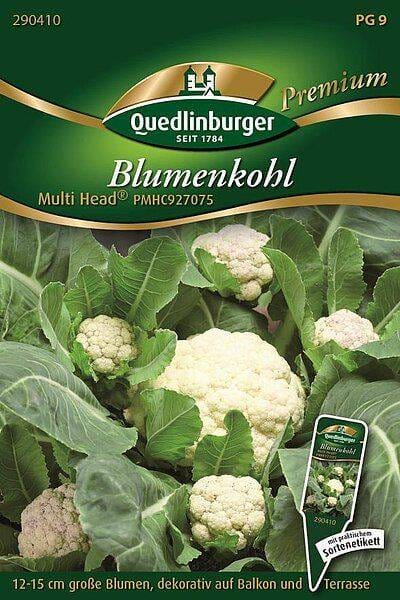 Quedlinburger Blumenkohl 'Multi Head®'