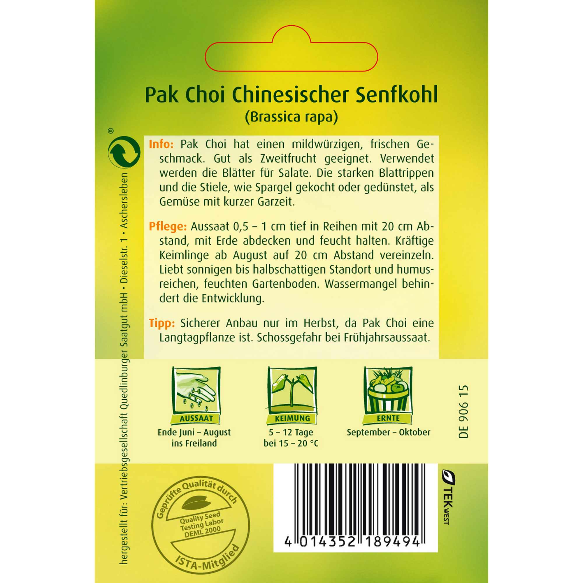 Quedlinburger Chinesischer Senfkohl 'Pak Choi' Bild 2