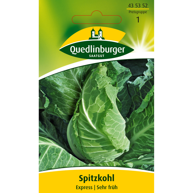 Quedlinburger Spitzkohl 'Express'