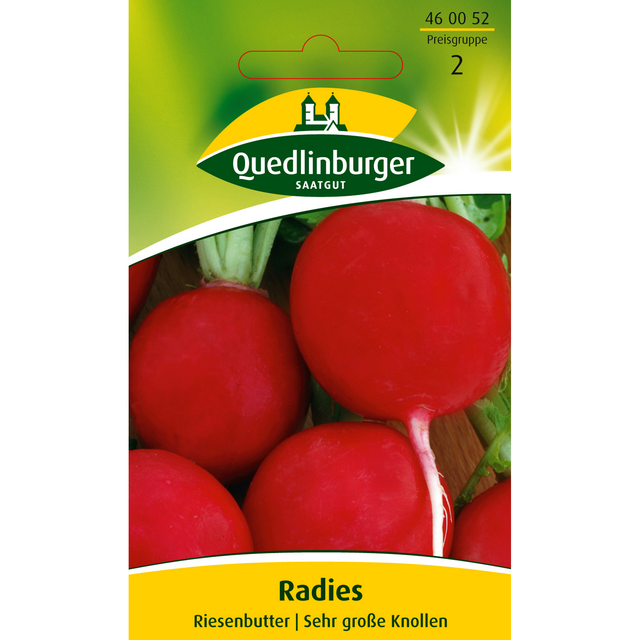 Quedlinburger Radies 'Riesenbutter'
