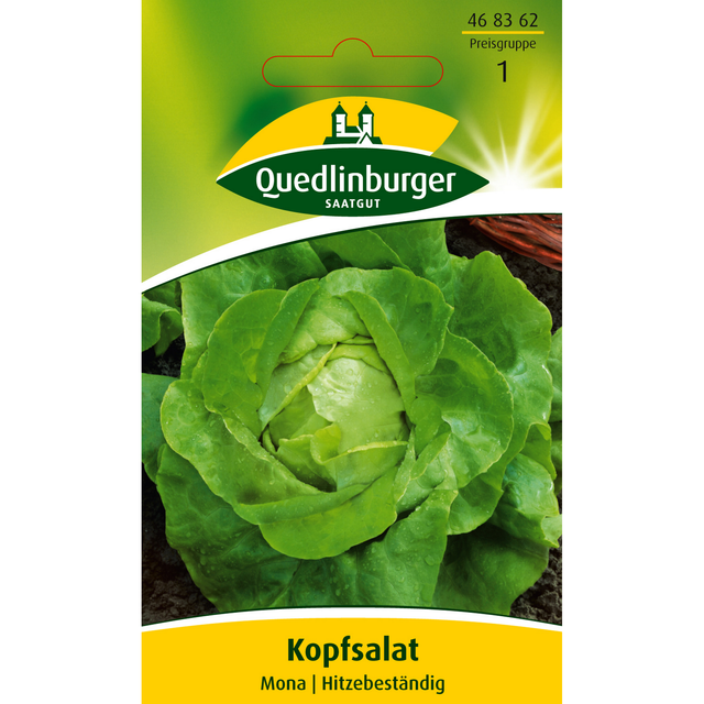 Quedlinburger Kopfsalat 'Mona'