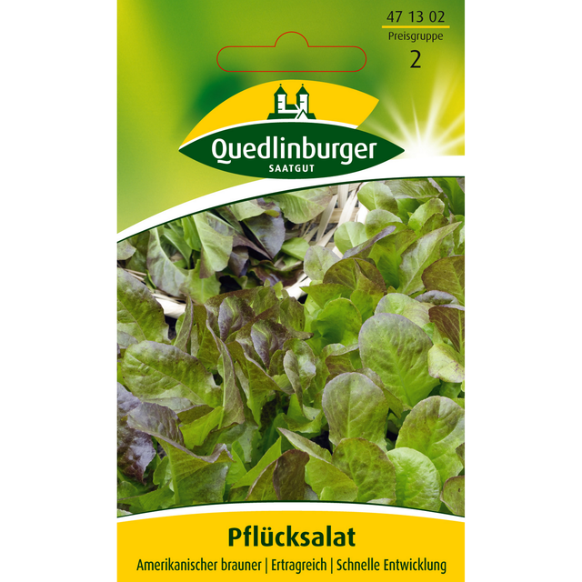 Quedlinburger Pfluecksalat 'Amerikanischer brauner'