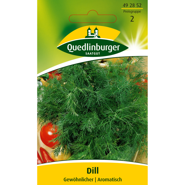 Quedlinburger Gewöhnlicher Dill