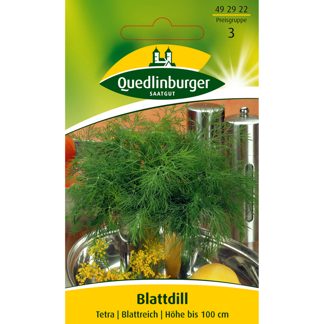 Quedlinburger Dill 'Tetra'