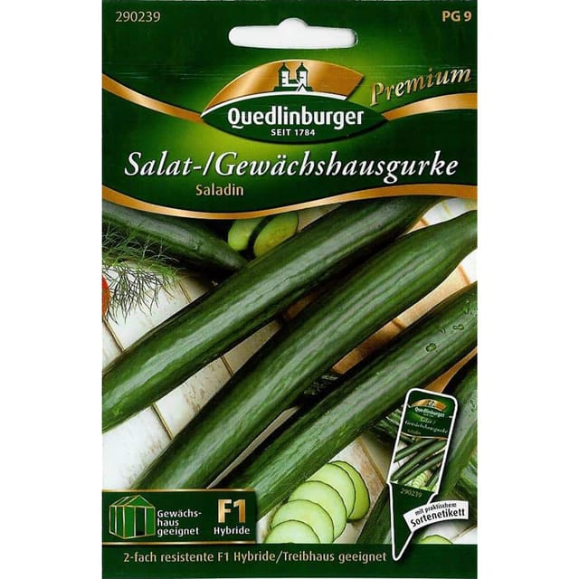 Quedlinburger Gewächshausgurke "Saladin