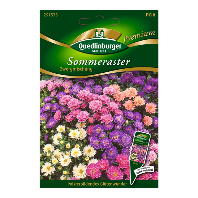 Quedlinburger Sommeraster "Zwergmischung