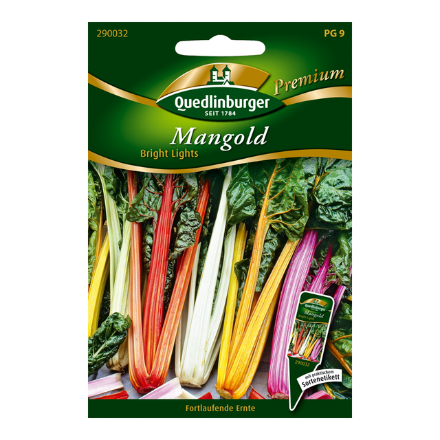 Quedlinburger Mangold "Bright Lights