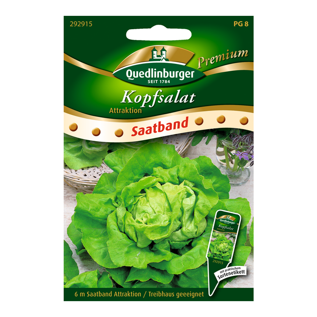 Quedlinburger Kopfsalat "Attraktion" Saatband