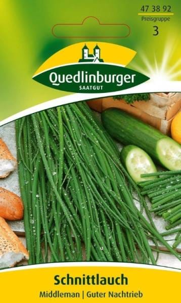 Quedlinburger Schnittlauch 'Middleman'