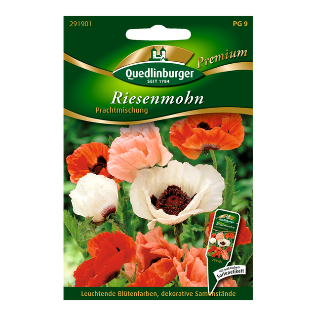 Quedlinburger Riesenmohn Türkischer Mohn "Prachtmischung