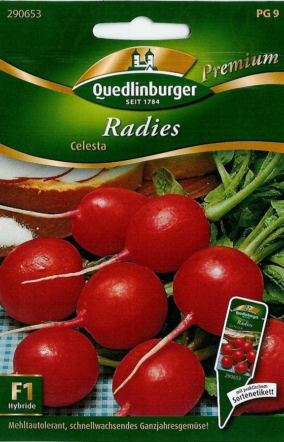 Quedlinburger Radies "Celesta