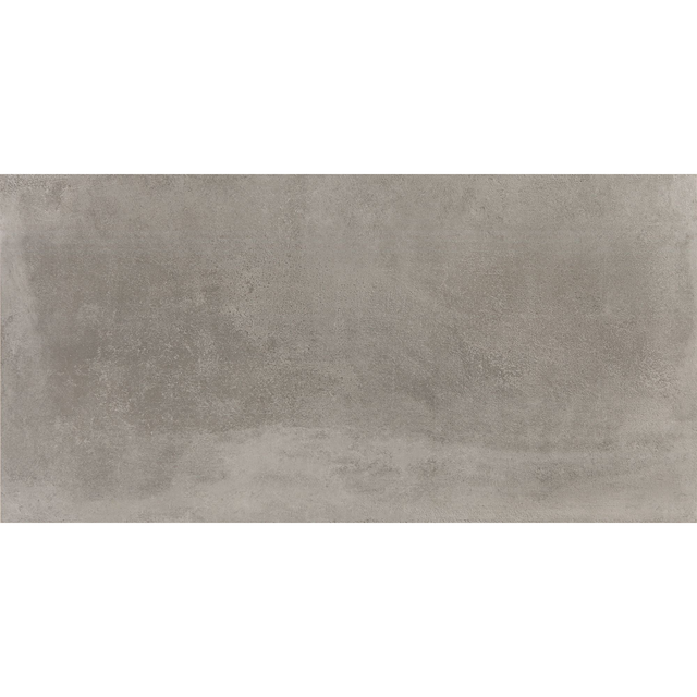 Bodenfliese 'Essen' Feinsteinzeug grau 45 x 90 x 0,9 cm