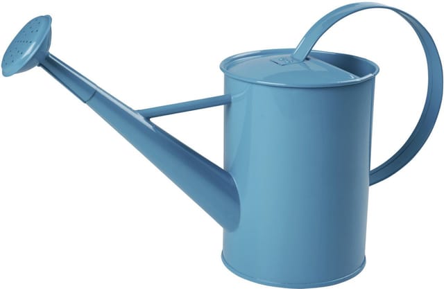 Freund Victoria Kinder-Gießkanne Metall 1,75 l