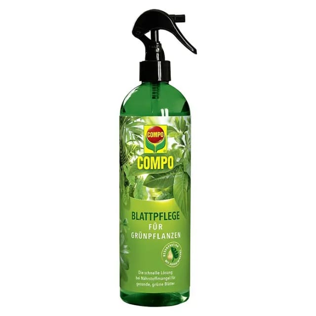 Compo Blattpflege für Grünpflanzen 500 ml