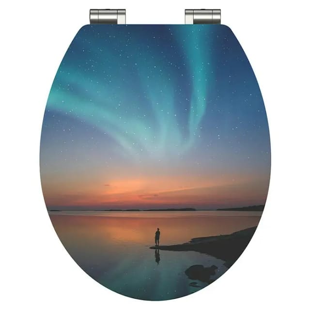 Schütte WC-Sitz 'Polar Lights HG' mit Absenkautomatik Holzkern