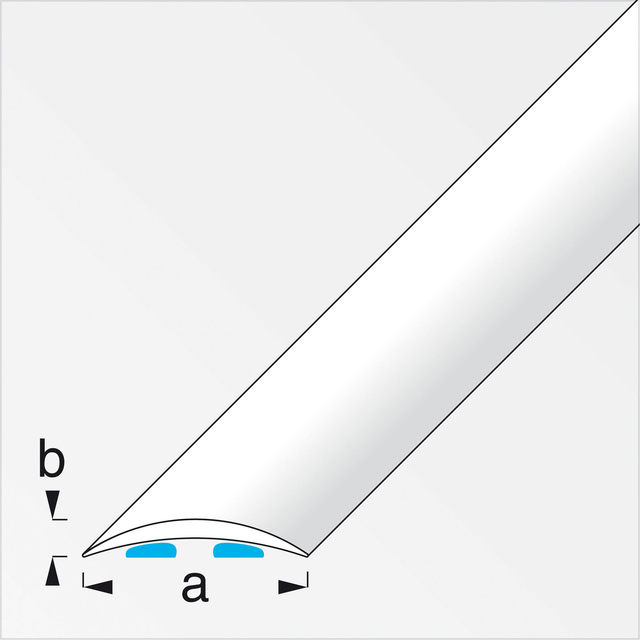 Übergangsprofil 4 x 100 cm titanfarben