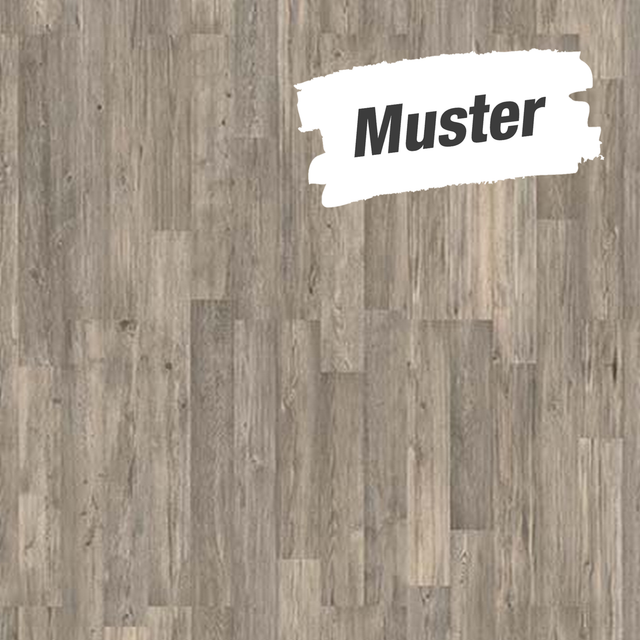 Muster zum Laminat 'Scandinavia' Seekiefer graubraun 7 mm