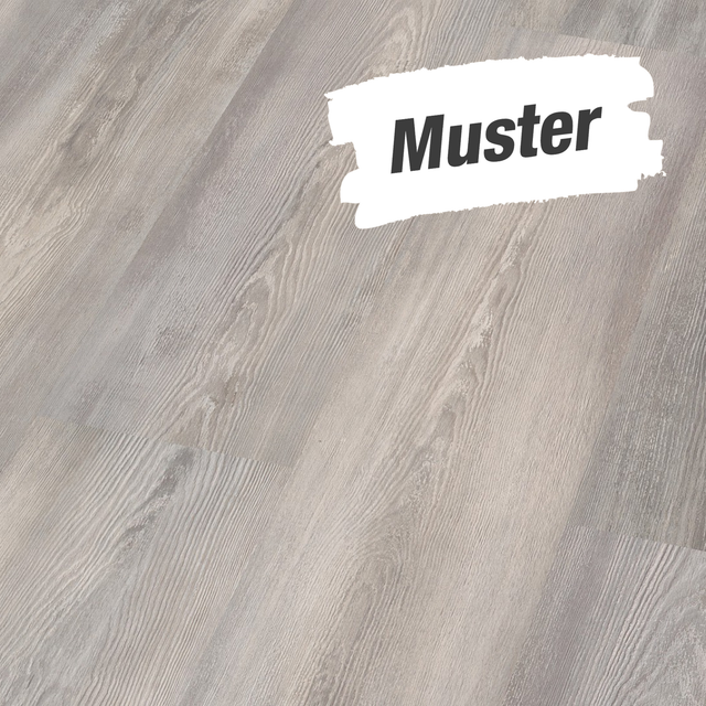 toom Muster zum Laminat 'Premium' Wintereiche weiß 8 mm
