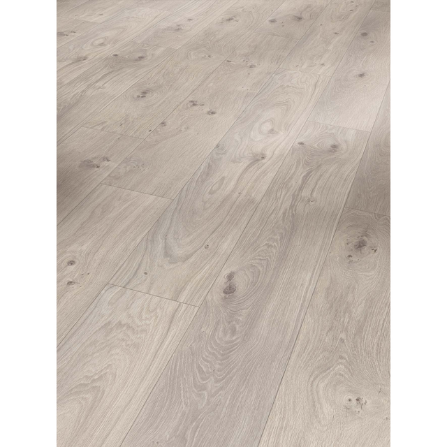 Parador Laminat 'Basic 400' Eiche natur grau braun 8 mm