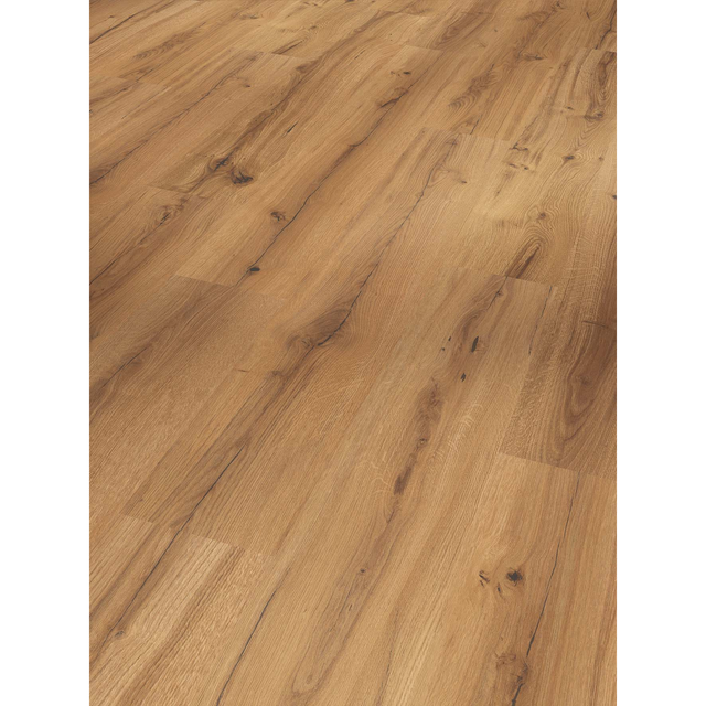 Parador Laminat 'Basic 400' Eiche History eichefarben 8 mm ohne Fase