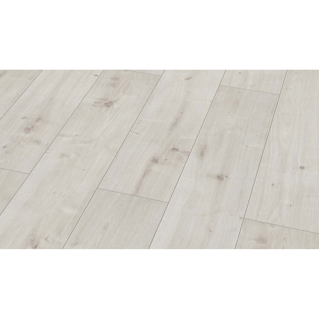 Classen Laminat 'Galaxy 4V' Eiche Lyon hellgrau 8 mm