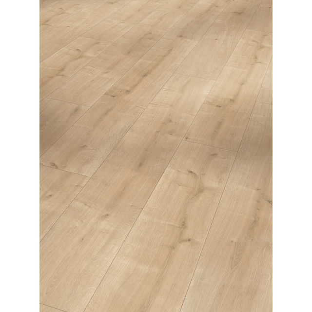 Parador Laminat 'Basic 400' Eiche geschliffen braun 8 mm