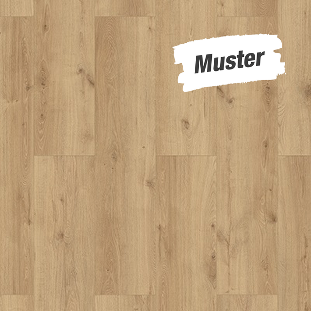 Classen Handmuster zum Laminat 'HydroClick' Stieleiche 9 mm