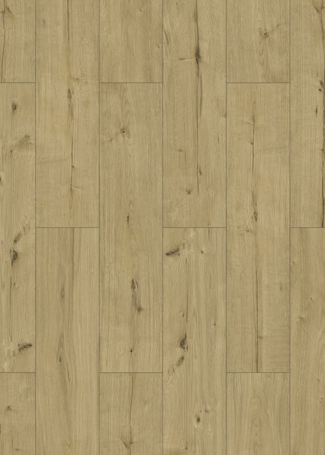 Classen Laminat '832-4 XL WR' Eiche natur wasserresistent 8 mm
