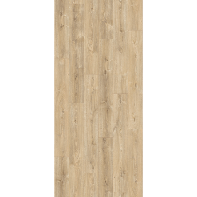 Parador Laminat 'Basic 200' Eiche Nova hell gekälkt 7 mm