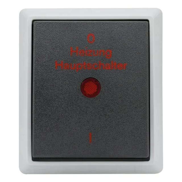 REV Ritter Heizungsschalter 'AquaForm' AP