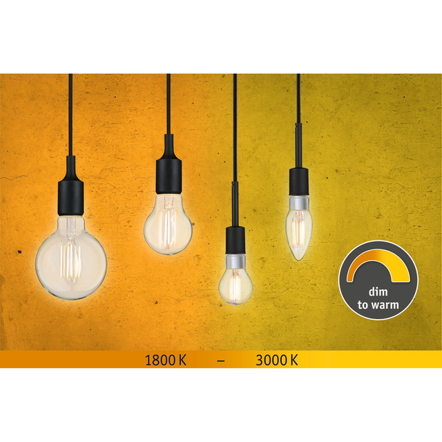 Paulmann LED-Kerzenlampe E14 5W (40W) 470 lm goldlicht/warmweiß klar