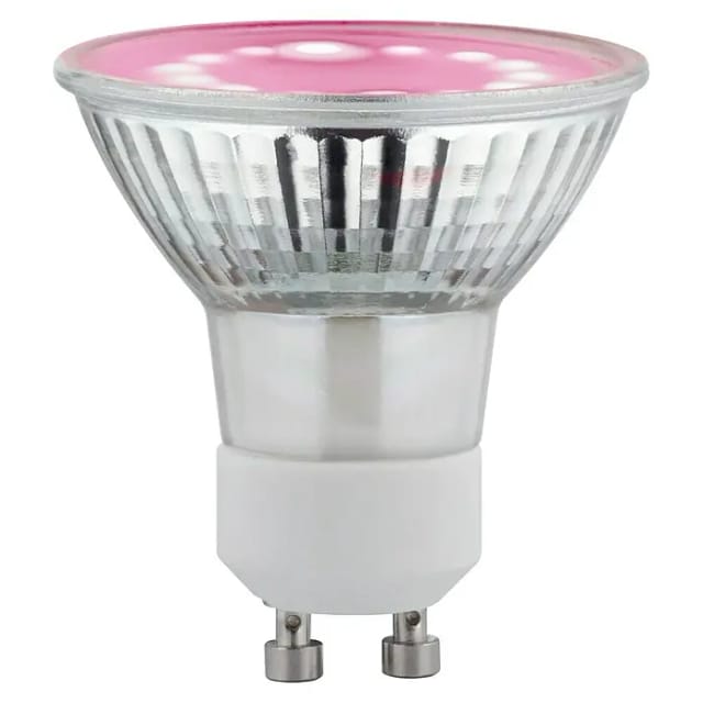 Paulmann LED-Reflektor GU10 3,5 W 95 lm