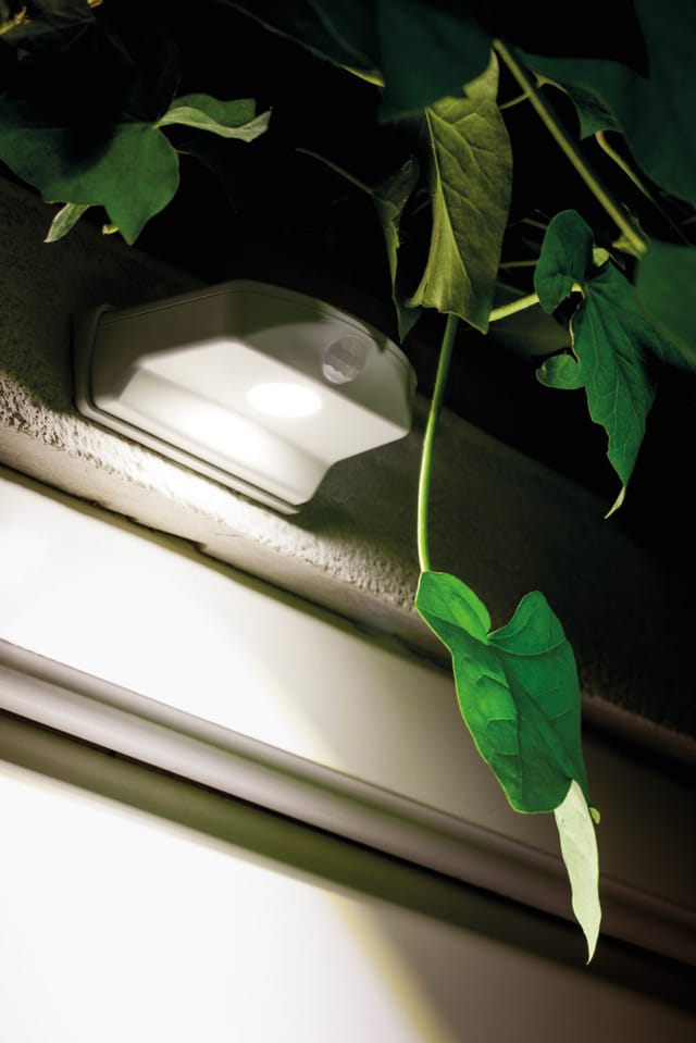 Ledvance Eingangsleuchte 'Door LED' 40 lm weiß
