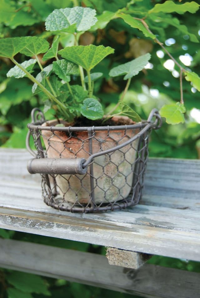 Esschert Design Blumentopf, Übertopf in Aged Terracotta im Henkelkorb, ca. 15 cm x 13 cm x 9,5 cm