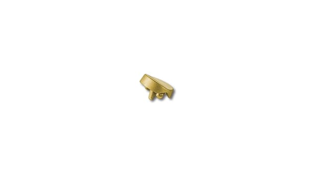 BJB Runde Wippe gold für Schalter 43.409 - 43.409.-007.88