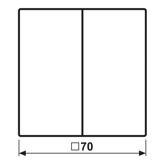 Jung Wippe f.Serientaster LS 102 SWM