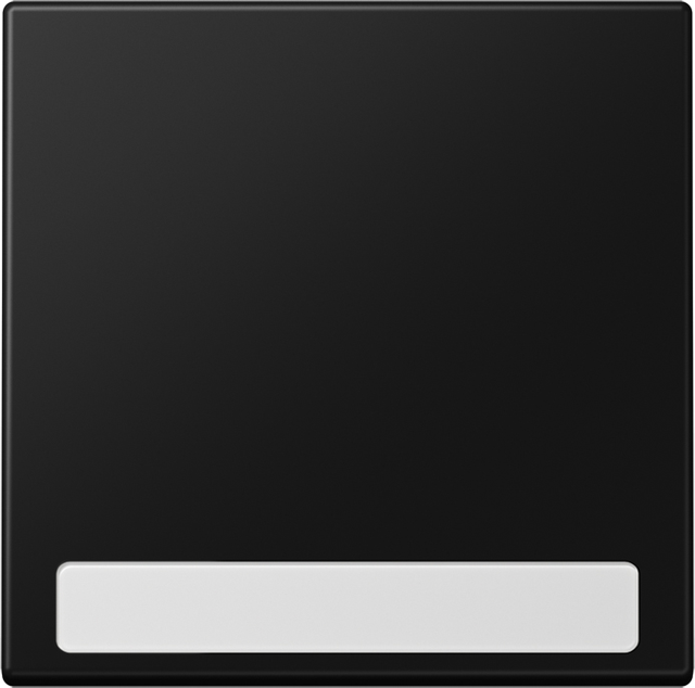 Jung Wippe f.Schalter/Taster NA LS 990 SWM