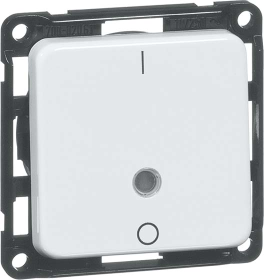 Peha Ausschalter rws Kontrolll. 10A 250V 2-pol. D 712.02 GLK