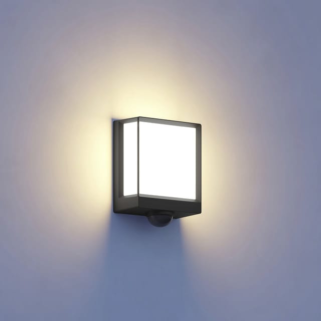 Steinel Sensor-LED-Außenleuchte L 40 SC