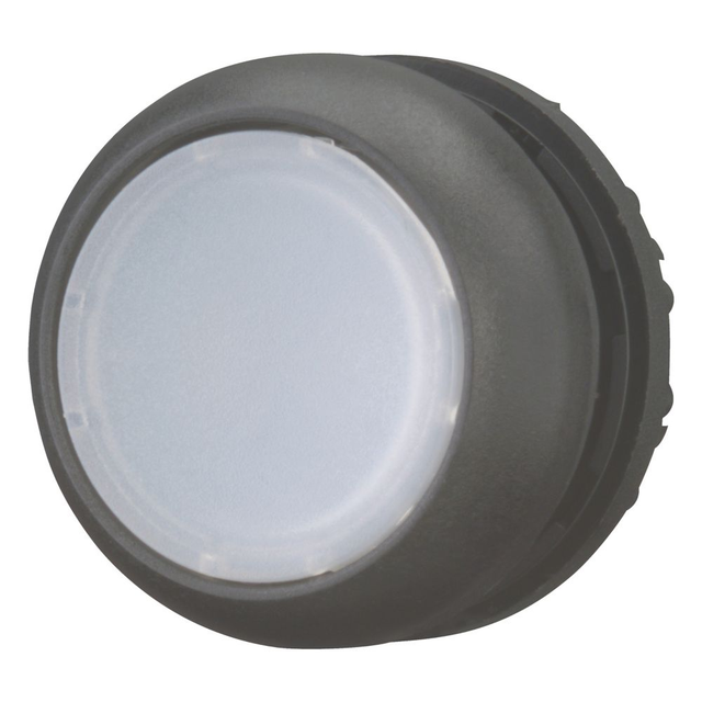 Eaton Leuchtdrucktaste flach, weiss, blanko M22S-DL-W