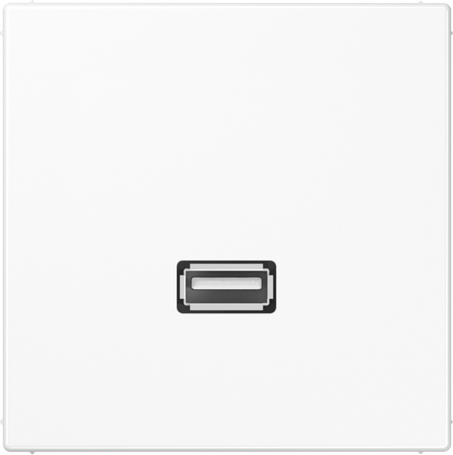 Jung Multimedia-Anschluss aws USB m.Tragring MA LS 1122 WW