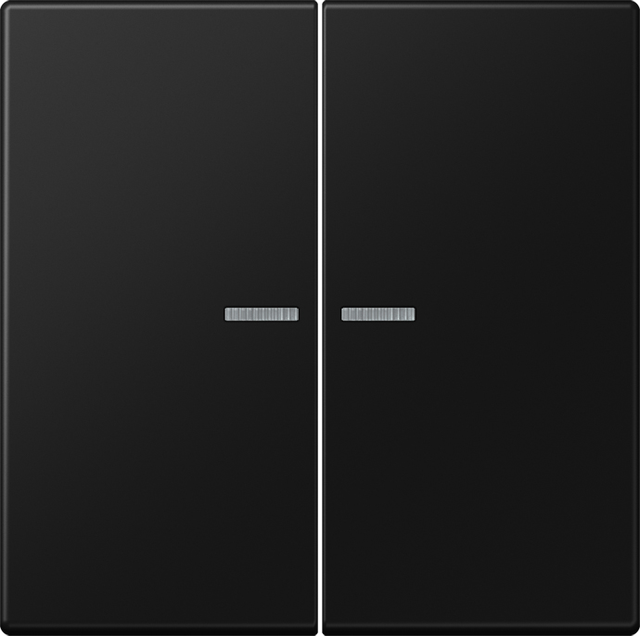 Jung Wippe f.Serienschalter KO LS 995 KO5 SWM