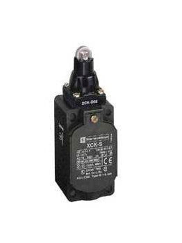 Telemechanique Sensors Positionsschalter IP66 XCKS102H29
