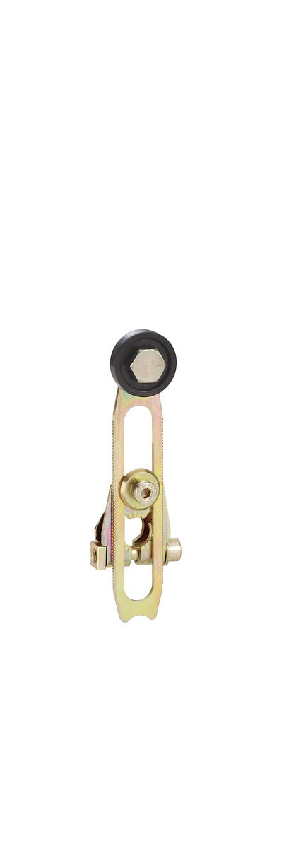 Telemechanique Sensors Schwenkhebel K verstellbar ZC2JY31