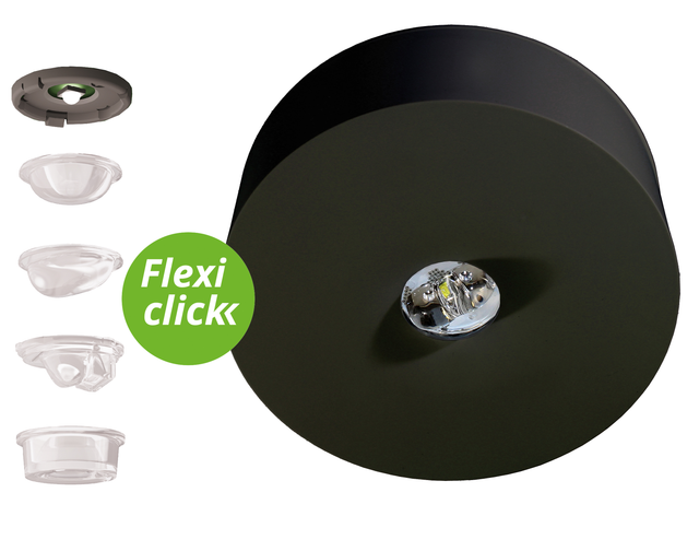 RP-Technik LED-Sicherheitsleuchte Decke, Linsensystem ILDL423SC-SW