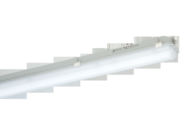 Schuch Licht LED-Notleuchte 4000K ML 1560mm ZB 167 15LG2 VARIO