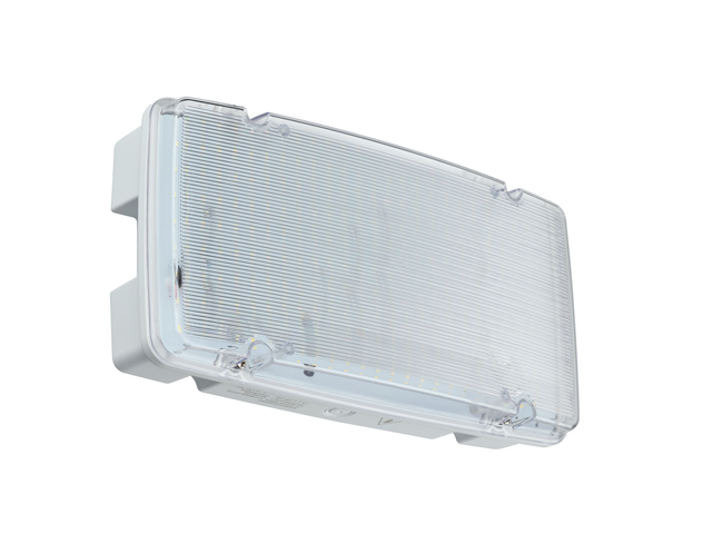 Philips Lighting Sicherheitsleuchte EM154CHO#79896300