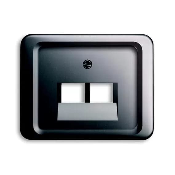 Busch-Jaeger Zentralscheibe pla f.UAE-Anschlussdo.2f 1803-02-20 - 2CKA001753A8485
