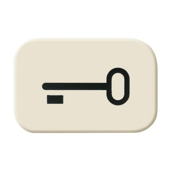 Busch-Jaeger Tastersymbol Schlüssel 2525 TR - 2CKA001433A0440